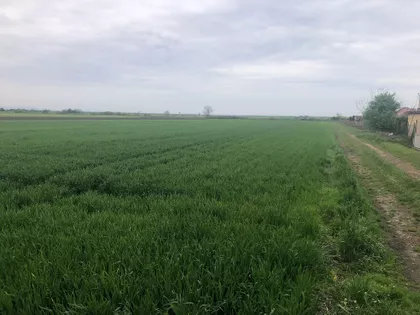 KRNJESEVACKA | 4zida.rs