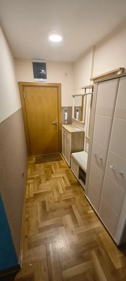 Zmaj Ognjena Vuka | 4zida.rs