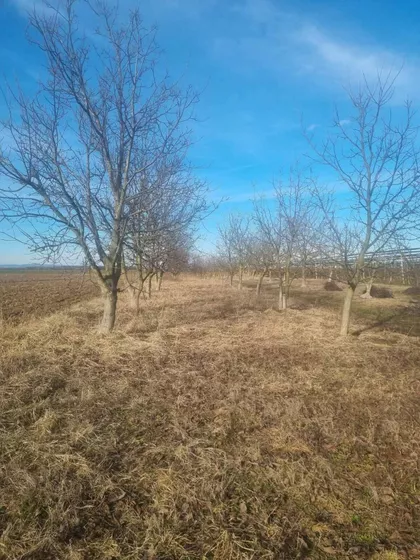 Platičevo | 4zida.rs