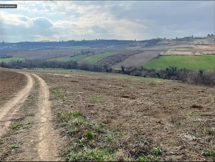 Suncana Dolina | 4zida.rs