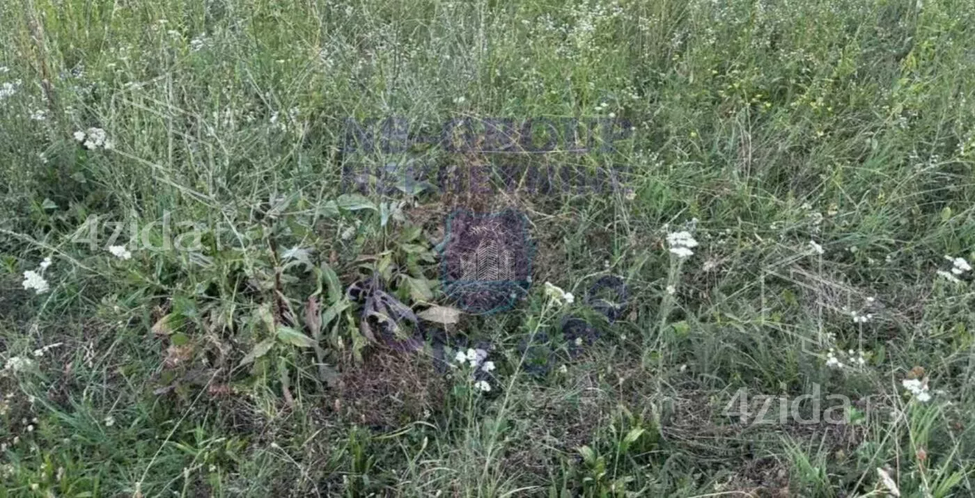 Poljoprivredno zemljište | 4zida