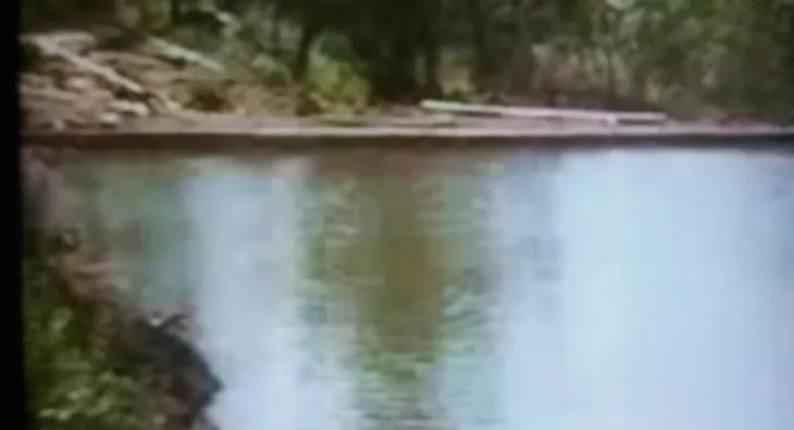 Poljoprivredno zemljište | 4zida