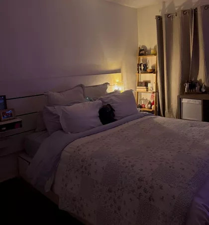 Dušanovac | 4zida.rs