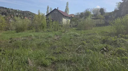 Sremska Kamenica | 4zida.rs