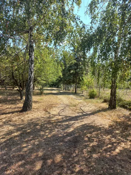 Selters Banja | 4zida.rs