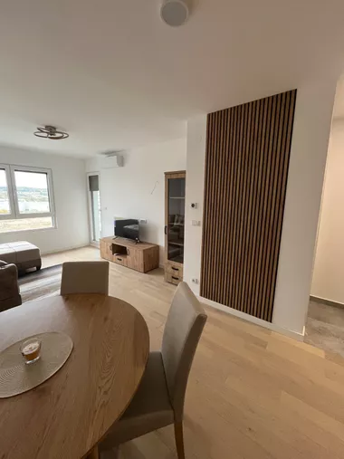 Miodraga Vlajića Šuke