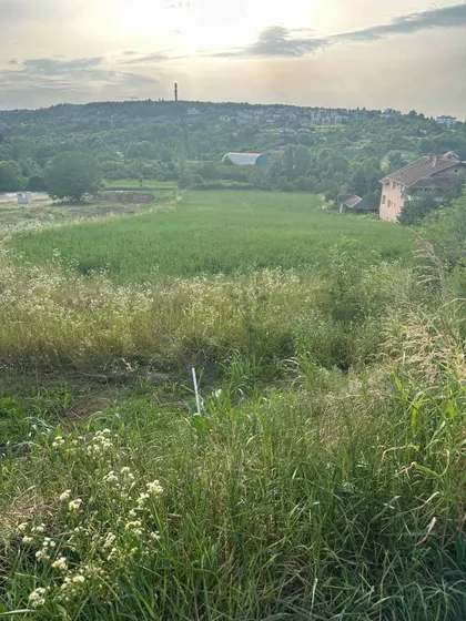 Alibegovac 1 | 4zida.rs