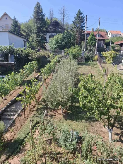 Svetozara Markovića | 4zida.rs