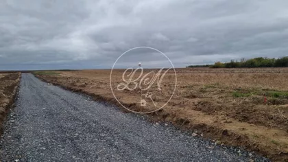 Carice Milice | 4zida.rs