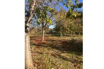 4. Oktobar | 4zida.rs