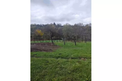 Miodraga Vukovića | 4zida.rs