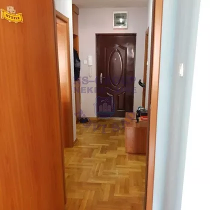 Dr Svetislava Kasapinovića | 4zida.rs