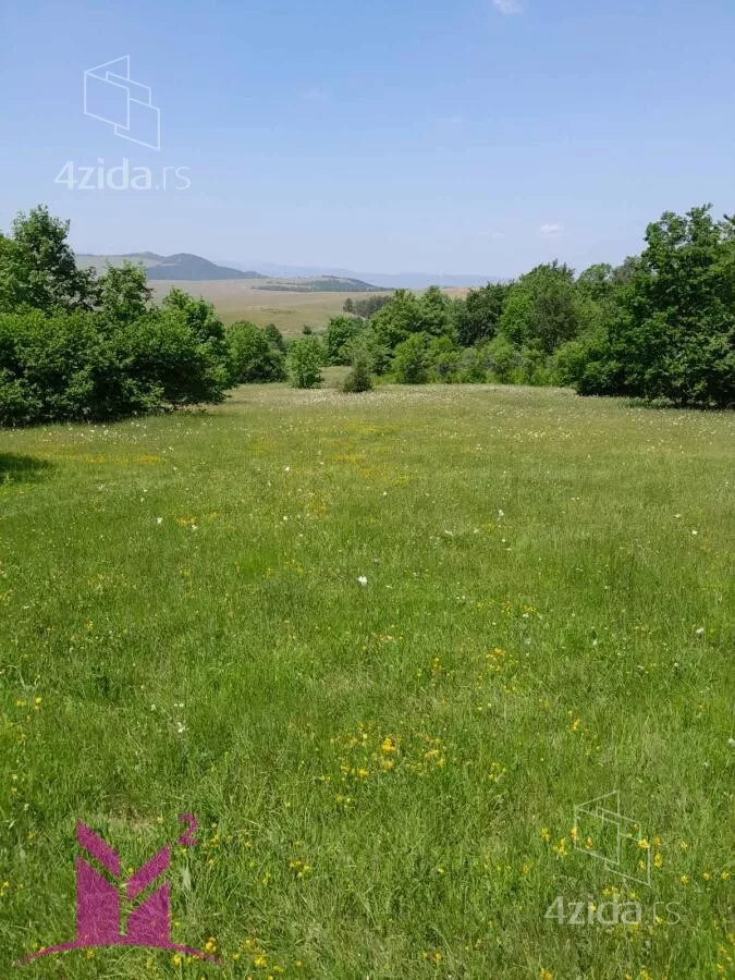 Plac | 4zida