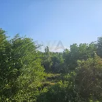 Poljoprivredno zemljište | 4zida
