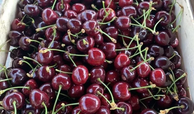 Poljoprivredno zemljište | 4zida