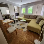 Beograd, Zvezdara opština, Crveni Krst Zvezdara | 4zida.rs | 4zida.rs