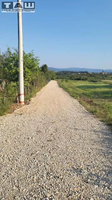 Šumarice
