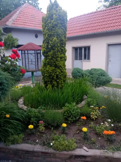 Velika Plana | 4zida.rs