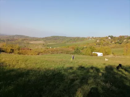 Banstolska | 4zida.rs