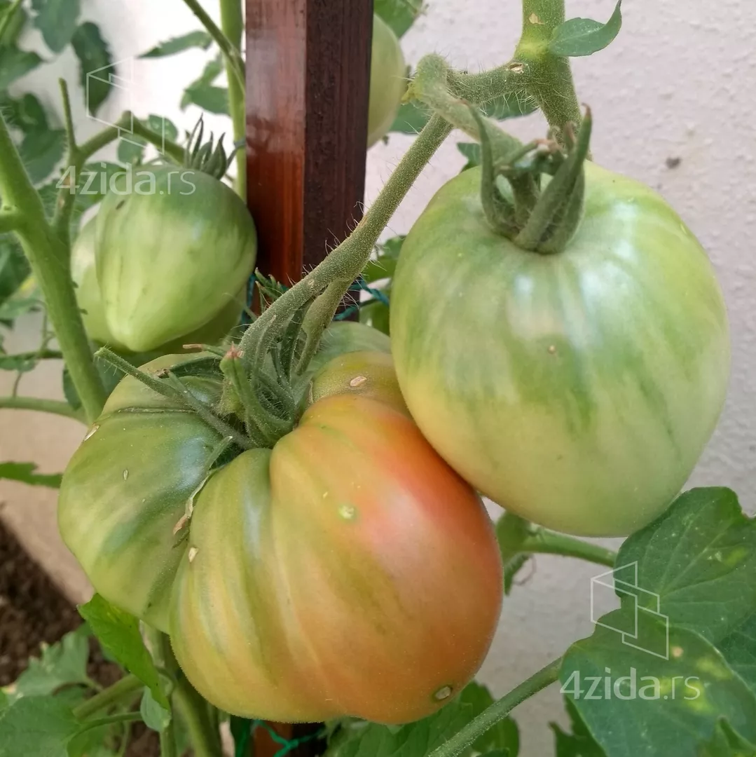 2-etažna kuća | 4zida