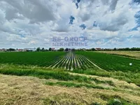 Futog, Okolne lokacije, Novi Sad | 4zida.rs