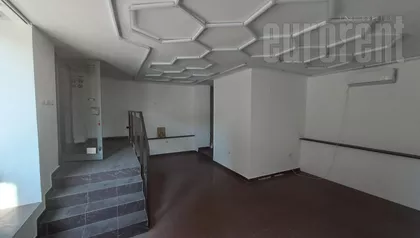 ZELENI VENAC | 4zida.rs