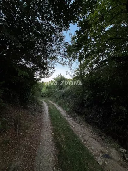 Čortanovci | 4zida.rs