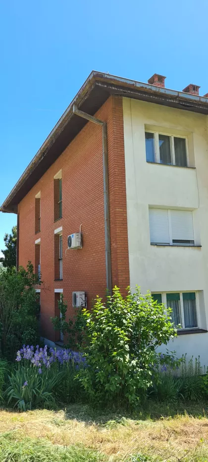 Svetosavska | 4zida.rs