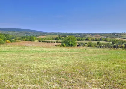 Svetosavska | 4zida.rs