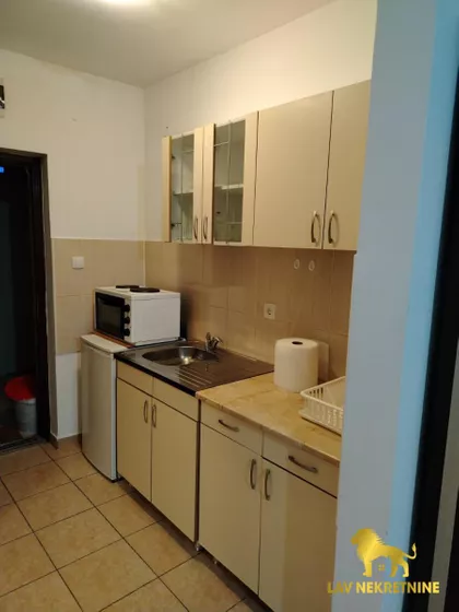 DR SVETISLAVA KASAPINOVIĆA | 4zida.rs