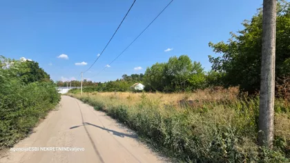 Petnica | 4zida.rs