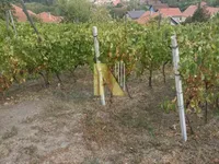 Gradske lokacije, Beočin | 4zida.rs