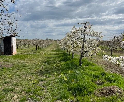 Poljoprivredno zemljište | 4zida