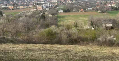 Đorđa Velića | 4zida.rs