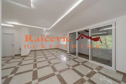 Mise Vujica | 4zida.rs