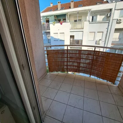 Vase Pelagića | 4zida.rs