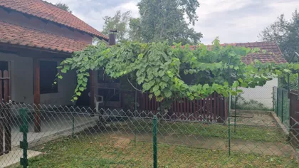 Kapetana Todića | 4zida.rs