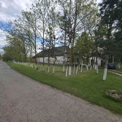 Stanišić | 4zida.rs