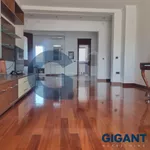 Beograd, Stari Grad opština, Dorćol | 4zida.rs | 4zida.rs