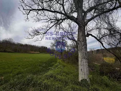 Krušedol Prnjavor | 4zida.rs