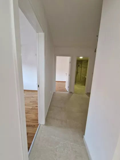 Vojvode Petra Bojovića | 4zida.rs