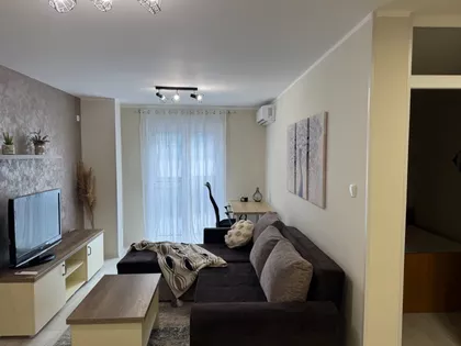 Vase Pelagića | 4zida.rs