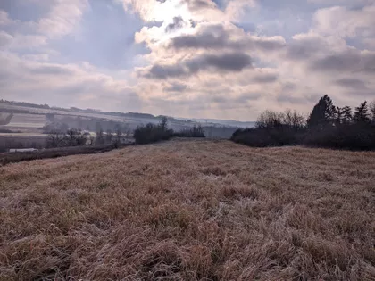 Drenjačka | 4zida.rs