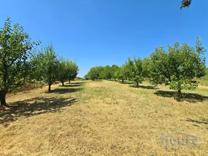 Banstol - Vikend Naselje | 4zida.rs