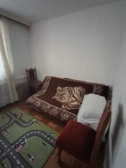 Bogdana Žerajića | 4zida.rs