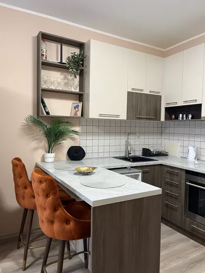 Janka Čmelika | 4zida.rs