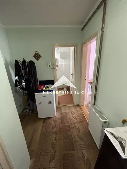 Ruža Šulman | 4zida.rs