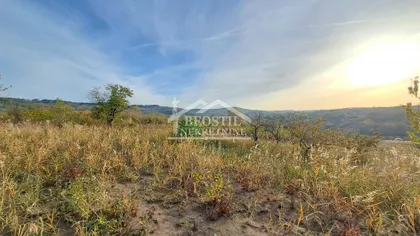 Višnjica | 4zida.rs