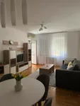 Novi Sad, Gradske lokacije, Detelinara | 4zida.rs | 4zida.rs