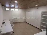 Lokal | 4zida